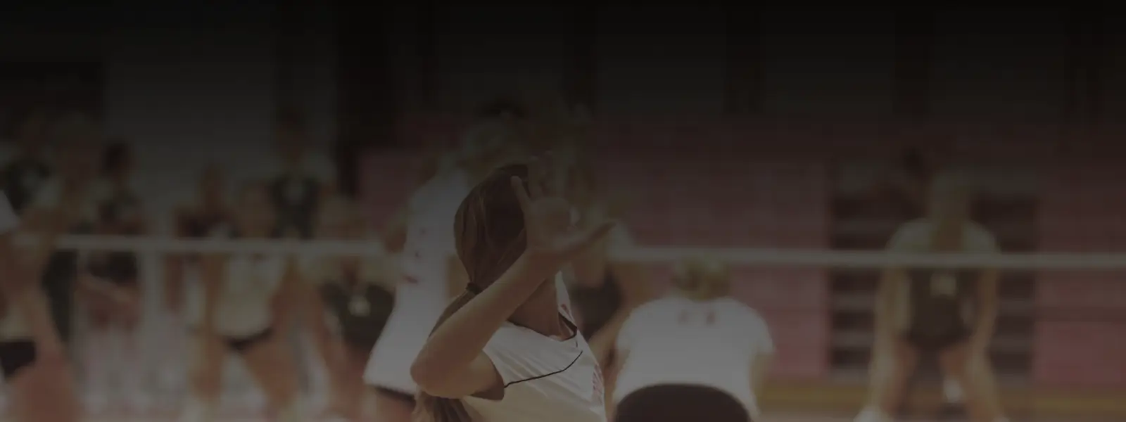Volleyball Training